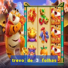 trevo de 3 folhas significado espiritual